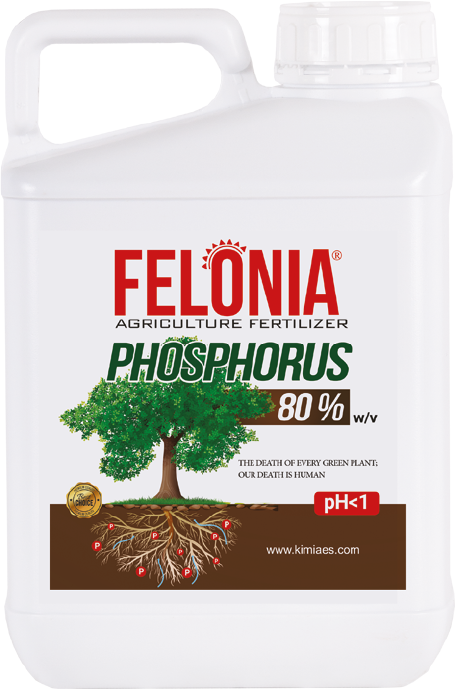 اسید فسفریک فلونیا