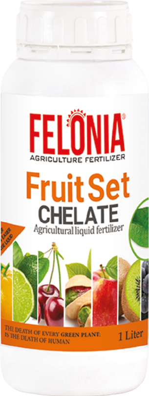 کود فروت ست فلونیا