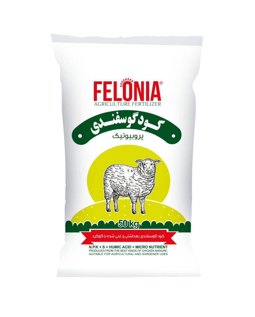 کود-گوسفندی