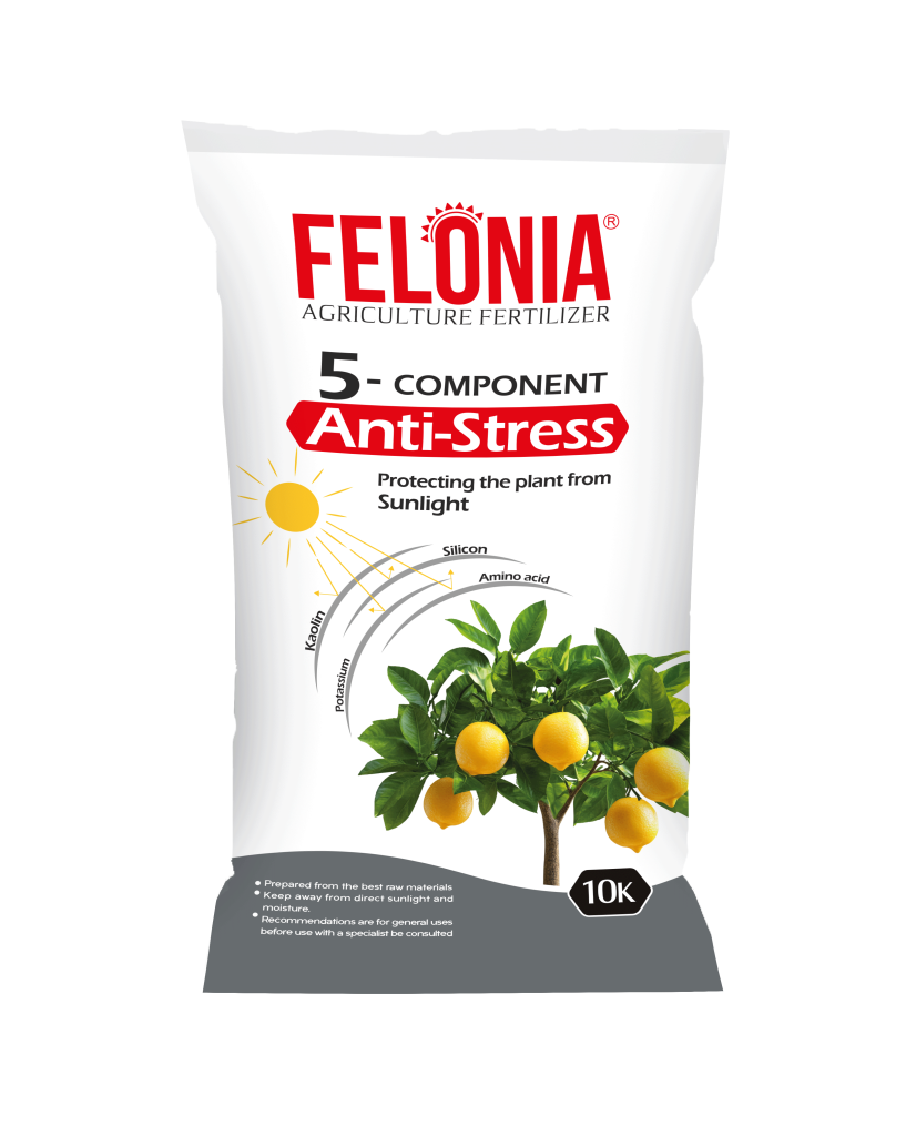 آنتی استرس ۵ گانه