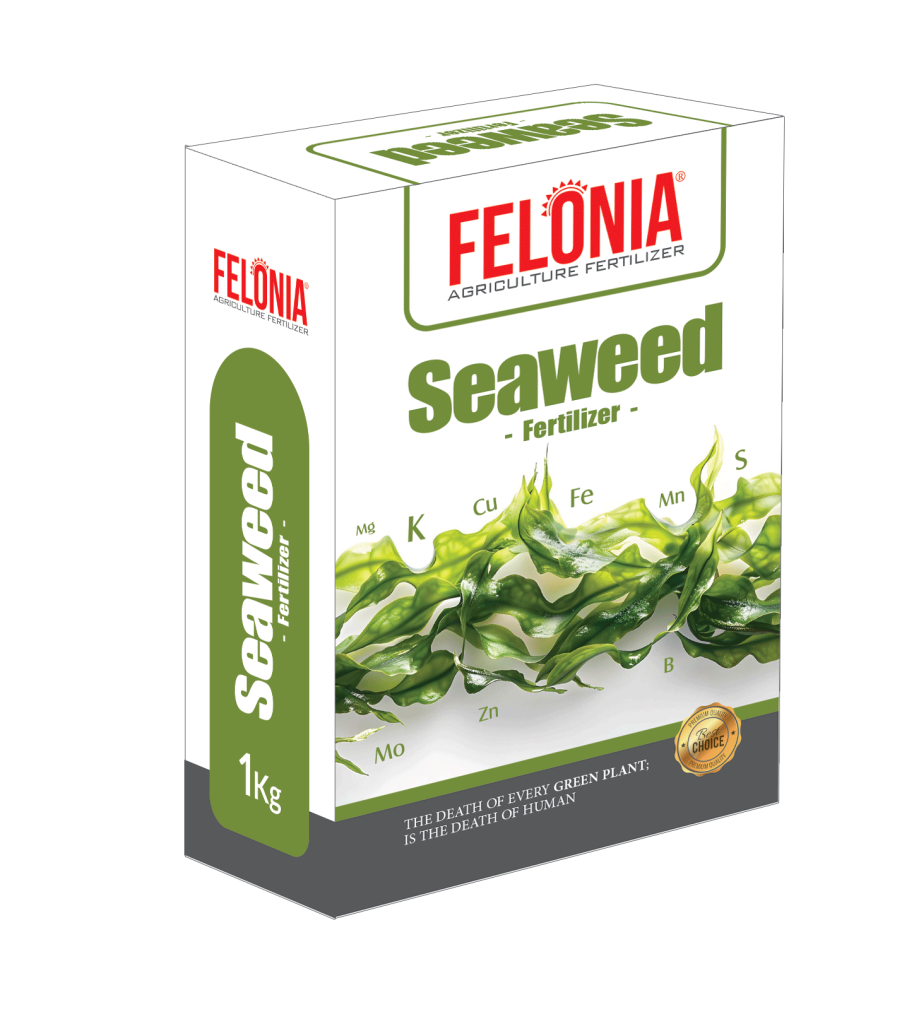 کود جلبک دریایی