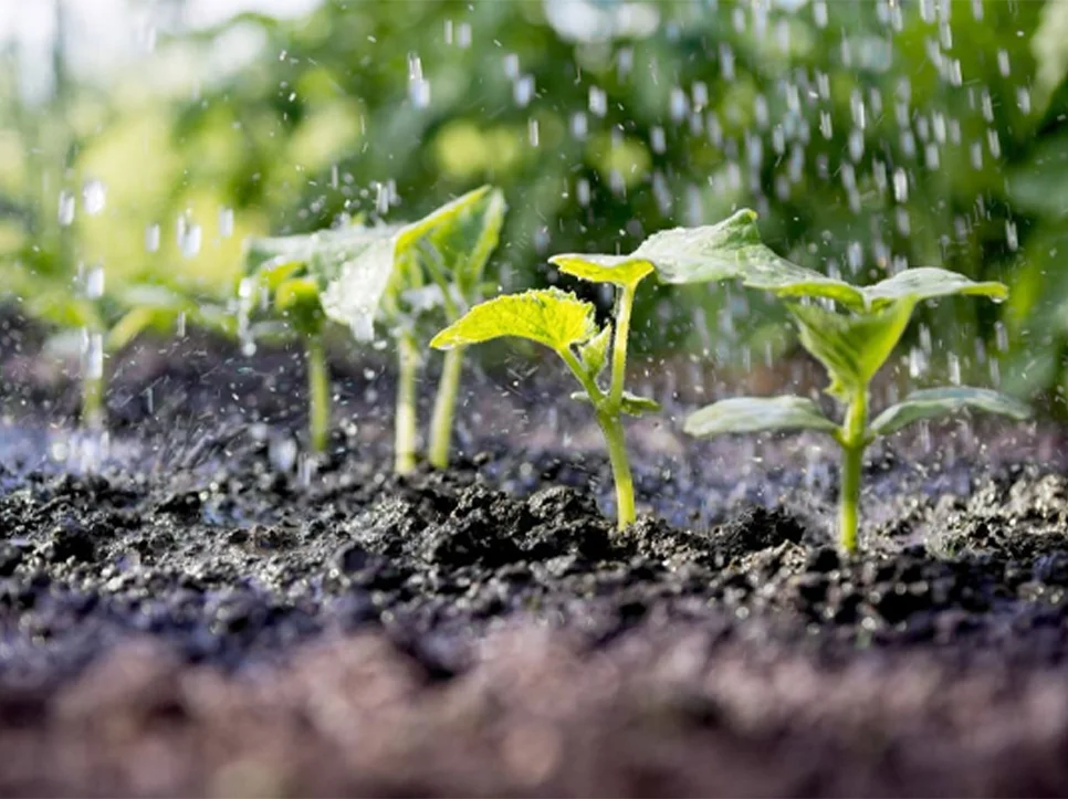 کودآبیاری چیست؟