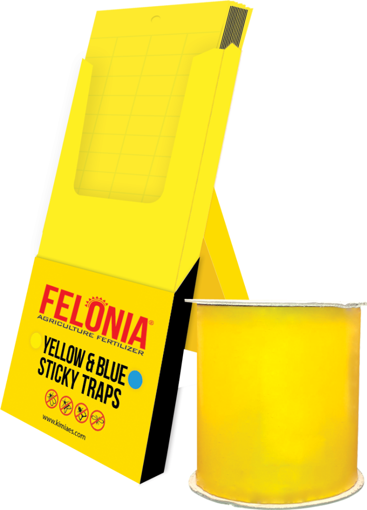 چسب حشرات فلونیا