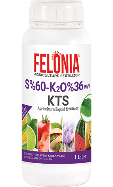 کود تیوسولفات پتاسیم فلونیا