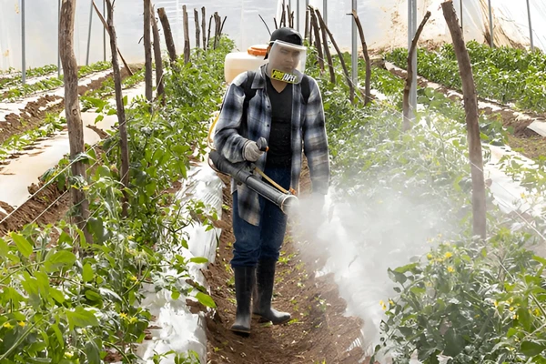 محلول پاشی گیاهان