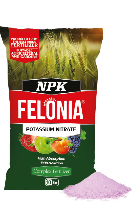 نیترات پتاسیم