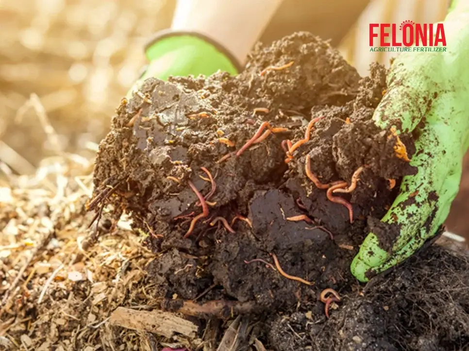 کود کمپوست فلونیا