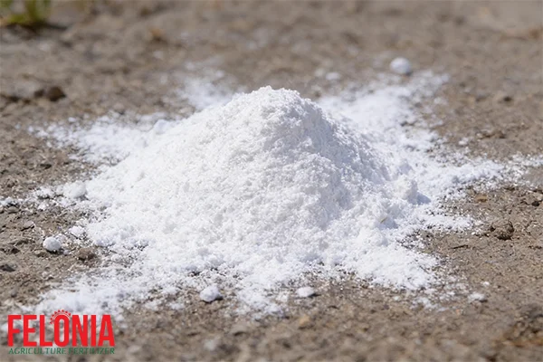 کود سولفات پتاسیم فلونیا