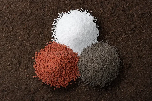 کود استارتر فلونیا